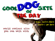 Winner of Cool dog Site of the Day