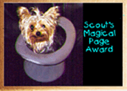 Scouts Magical Page Award!